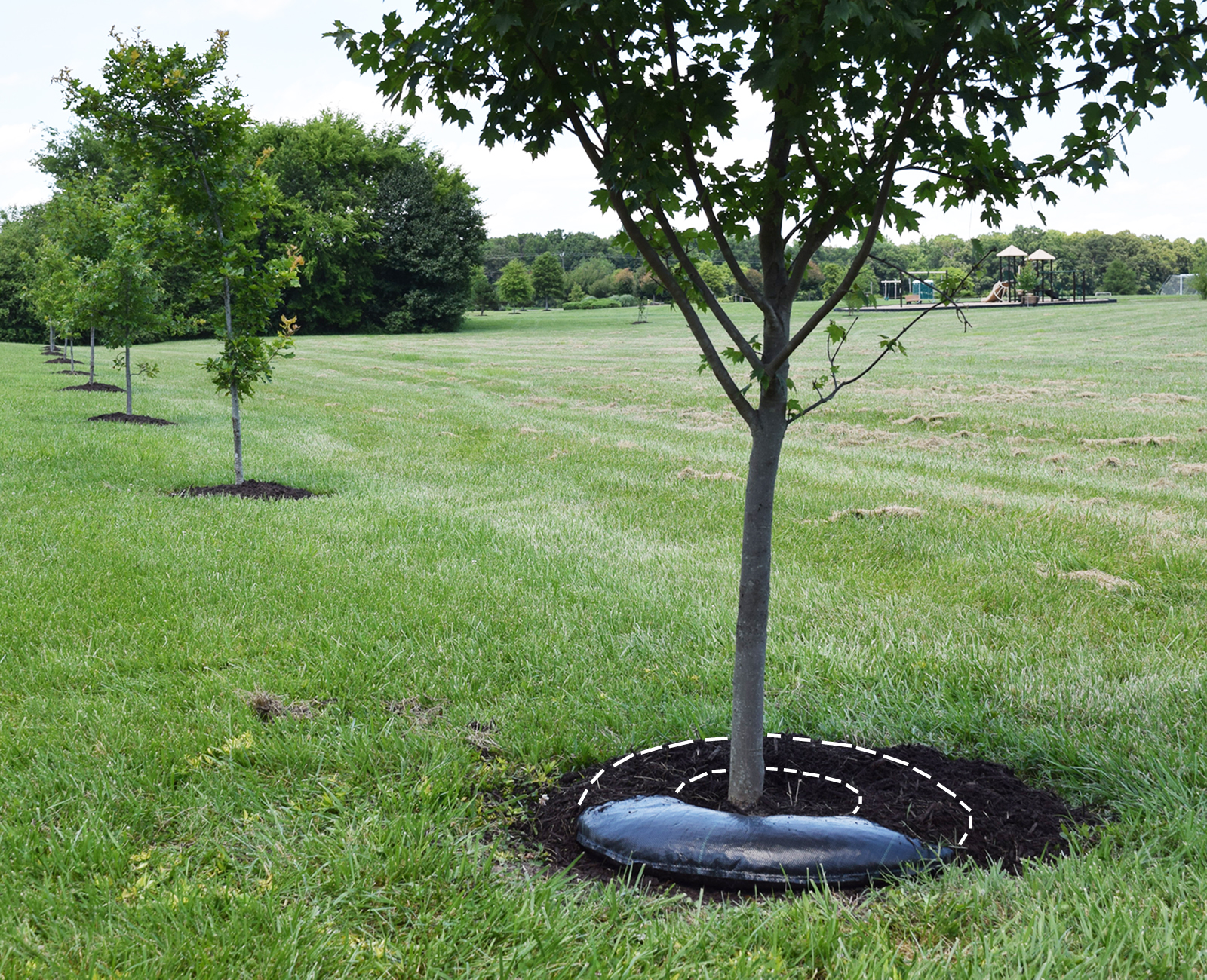 1036vA- TreeDiaper<sup>®</sup> TD36R, Round Shape ( for plants of ~18" rootball ) 